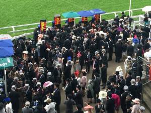 royal ascot betting