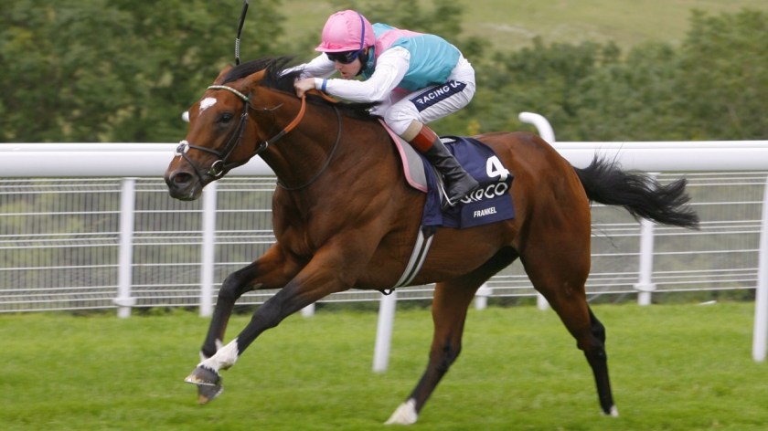 frankel